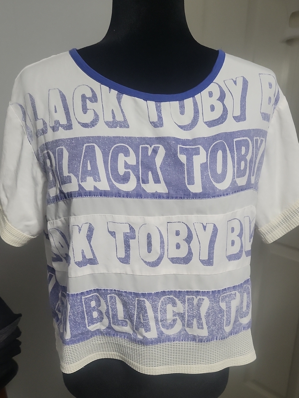 Vintage a02 Black Label AZONA Free Size* Toby Black Striped Mesh Hem Crop Top
